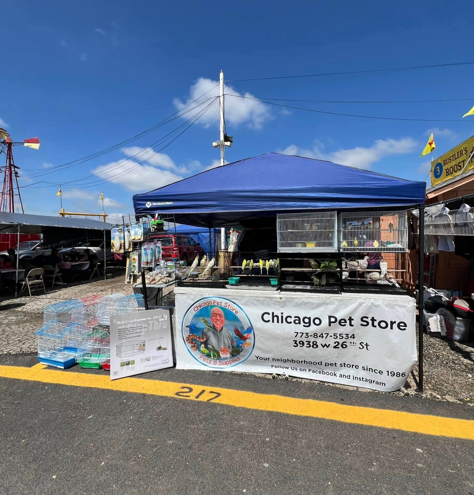 chicago-pet-store-1