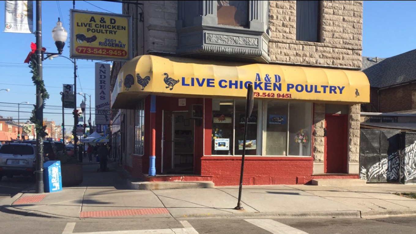 A&D Chicago Live Poultry