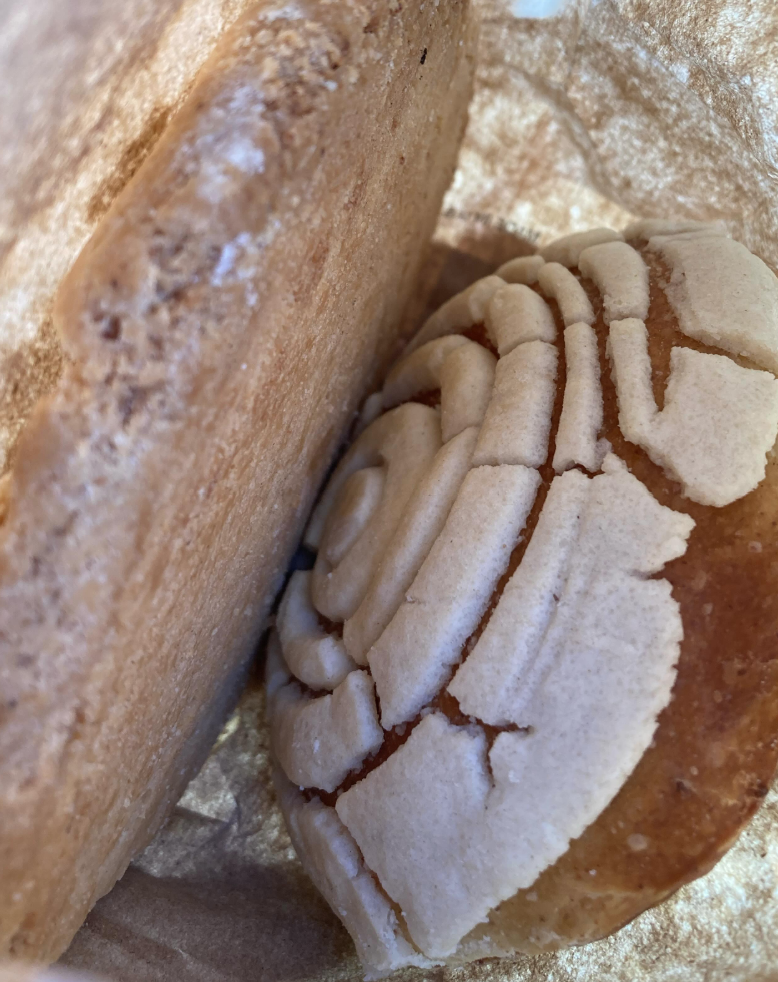 Panadería y Tortillería de Harina Nuevo León